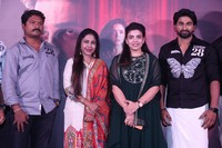 Kiku Chiranjeevi Movie Pre Release